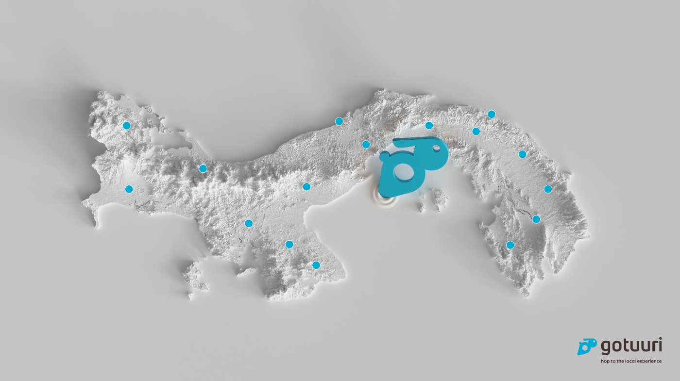 Gotuuri - Branding — imagen 1